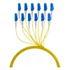 Cable trunk EFB U-DQ(ZN)BH OS2 12E (1x12) LC-LC 170m Dca LSZH G657A1