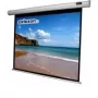 Celexon Economy pantalla eléctrica - Pantalla - Montaje en techo posible, apta para montaje en pared - motorizada - 250 cm (98