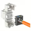 Módulo de entrada RJ-45 modular EFB Elektronik ECOLAN E-20080, blanco