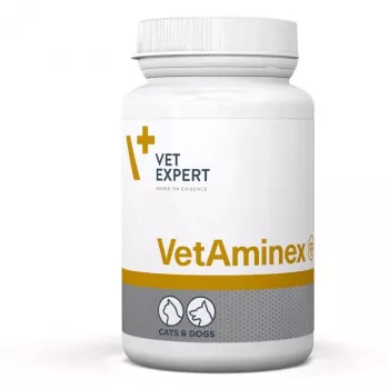 VetExpert VetAminex 60 cápsulas.