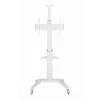Soporte de TV de suelo 37-70/WEISS TVS-70T-02-W Gembird