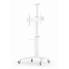 Soporte de TV de suelo 37-70/WEISS TVS-70T-02-W Gembird