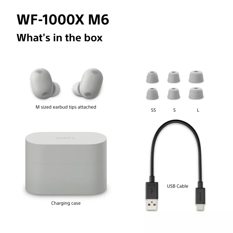 Sony WF1000XM6S.CE7 Auricular Inalámbrico Intraural Llamadas/Música Bluetooth Plata
