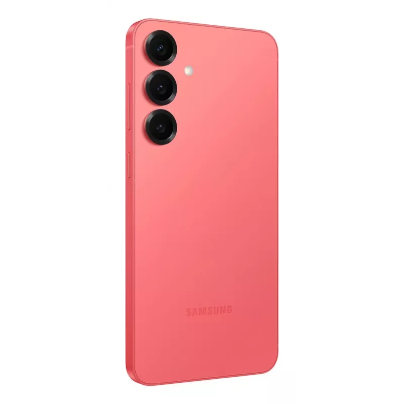 Samsung Galaxy S25+ SM-S936B/DS 17 cm (6.7