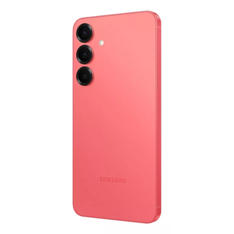 Samsung Galaxy S25+ SM-S936B/DS 17 cm (6.7