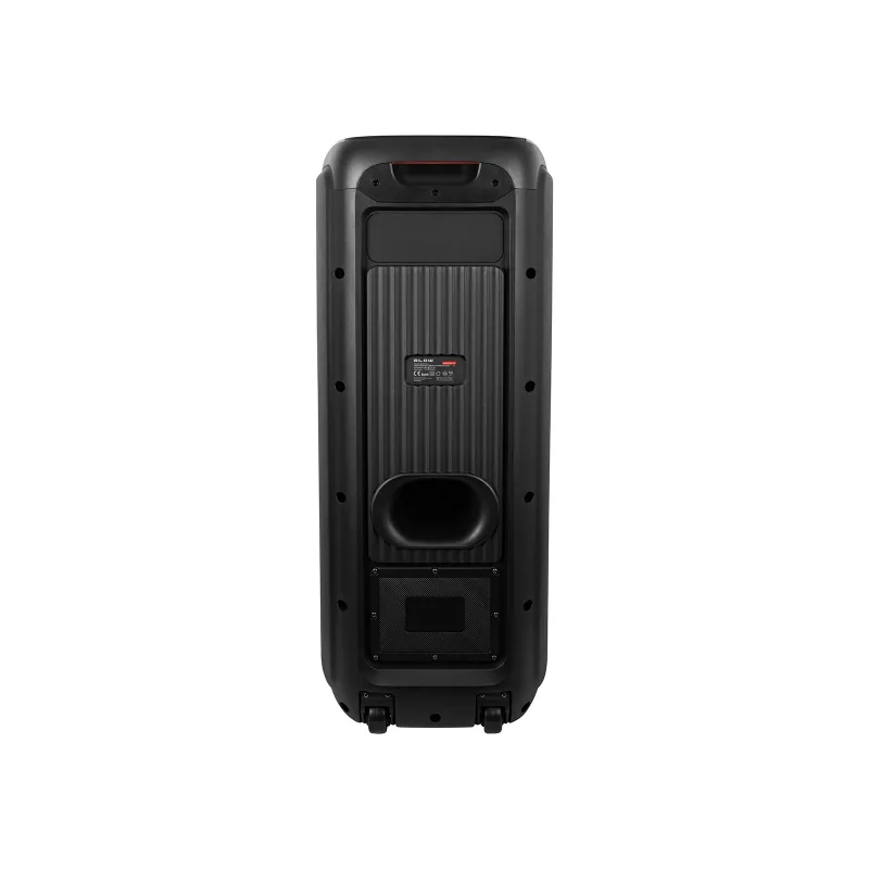 Altavoz de karaoke Infinity 10 pulgadas