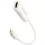 AXAGON RVDM-HI14NW – 0,15 m – Mini DisplayPort – HDMI – conector macho – conector hembra – recto