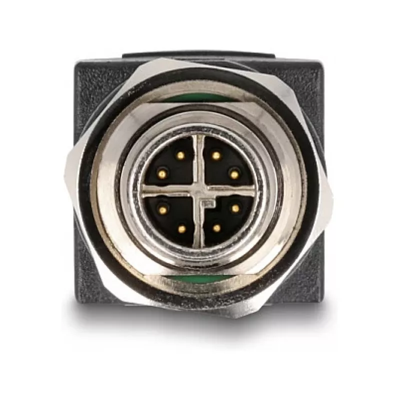 Adaptador Delock M12 X-codificado 8 Pin conector macho a conector hembra RJ45 recto