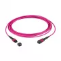 EFB Cable de conexión MTP(F)-MTP(F) OM4 12 fibras Tipo B LSZH Violeta brezo 0,5 m