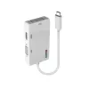 Lindy USB Type-C a Triple Display convertidor, 3840 x 2160 píxeles