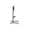 Equip Economy soporte de TV con ruedas 55 inch - 100 inch, 2,54 m (100 inch), 100 x 100 mm, 800 x 600 mm, -10 - 5°, plástico, acero inoxidable, negro