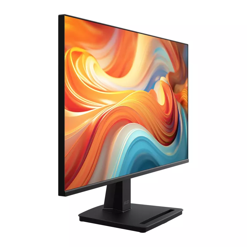 MSI Pro MP251 E14L monitor de ordenador 62,2 cm (24,5
