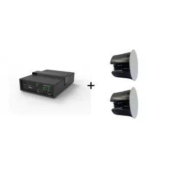 Vivolink Audiopack Subwoofer 6.5 40W + 2 x Altavoces de techo Premium (oferta de pack limitado) Negro Cableado 110 W