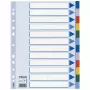 Esselte Separador de índice en blanco, polipropileno (PP), A4, multicolor, 225 mm