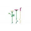 LEGO Botanicals 11514 Flores de cosmos (171 piezas)