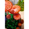 LEGO Botanicals 11505 Setas del bosque (806 piezas)