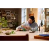 LEGO Botanicals 11505 Setas del bosque (806 piezas)