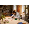 LEGO Botanicals 11505 Setas del bosque (806 piezas)