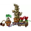 LEGO Harry Potter 76474 Plantas de herbología de Hogwarts (817 piezas)