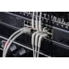 DIGITUS CAT 6A F-FTP Cable de parcheo en ángulo, cobre, 2 m, gris, 10 uds.