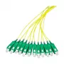 EFB Elektronik Pigtail de fibra SC-APC8° 9/125µm OS2 Yellow, 2m