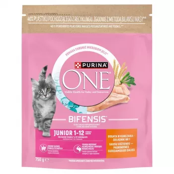 Purina ONE Junior Chicken & Whole Grains Pienso para perros 750g