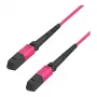 EFB-Elektronik Cable de parcheo multimodo MTP hembra a MTP hembra 12 fibras OM4, LSZH, erikavioleta, tipo B, 3m