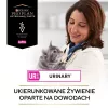 PURINA Pro Plan Veterinary Diets Feline UR St/Ox Urinary Pienso para gatos con pollo 1,5 kg
