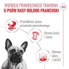 ROYAL CANIN French Bulldog Adult Digestive Health Loaf Caja - Comida húmeda para perros - 12x85g