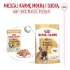 ROYAL CANIN French Bulldog Adult Digestive Health Loaf Caja - Comida húmeda para perros - 12x85g