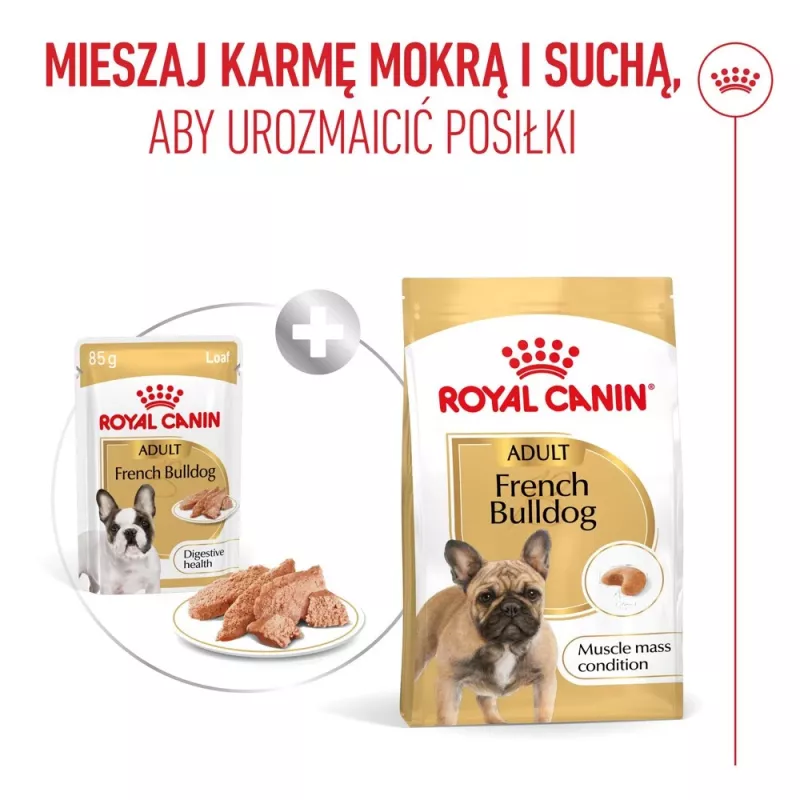 ROYAL CANIN French Bulldog Adult Digestive Health Loaf Caja - Comida húmeda para perros - 12x85g