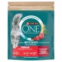 Purina ONE Sterilcat Pienso para gatos ternera y trigo 750g