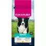 EUKANUBA pienso seco para perros adultos de razas medianas, pollo, 15 kg