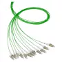 EFB-Elektronik pigtail de fibra LC OM2 50/125µm verde 2m