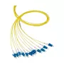 EFB Elektronik Pigtail de fibra LC-APC 8° 9/125 OS2 monomodo amarillo 2 m