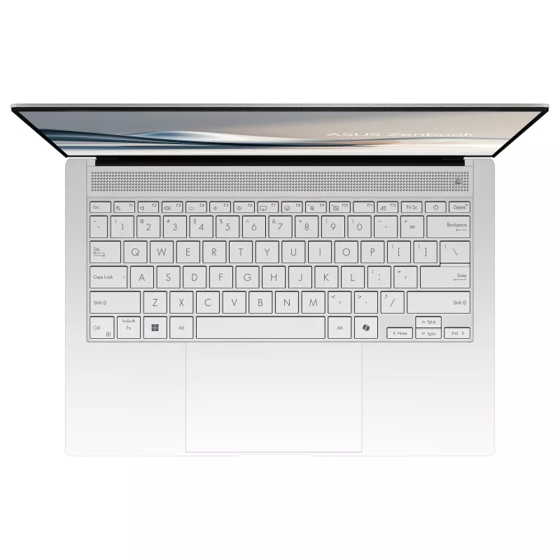 ASUS Zenbook S14 OLED UX5406SA-PV524W - 14