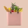 Rotho Multibag Albula Style 25L caja de almacenamiento, Meadow Rose