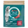 Purina ONE pienso para gatos adultos con ternera y cereales integrales 750g
