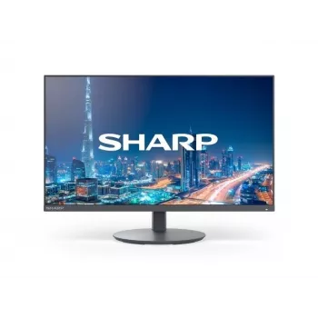Sharp MultiSync DD-E224F Monitor de empresa 21,5