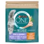 Purina ONE Coat & Hairball pollo cereales integrales pienso para gatos 750g
