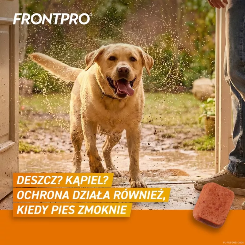 FRONTPRO comprimidos antipulgas y garrapatas para perros (25-50 kg) - 3x 136 mg afoxolaner comprimidos masticables