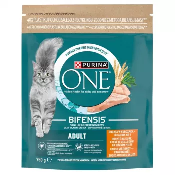 Purina One Mini Active Comida para perros pollo y arroz 750g