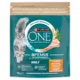 Purina One Mini Active Comida para perros pollo y arroz 750g