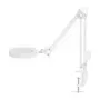 NEDIS MAGLE2WT Lupa de mesa con luz LED, aumento 2x/4x, blanca