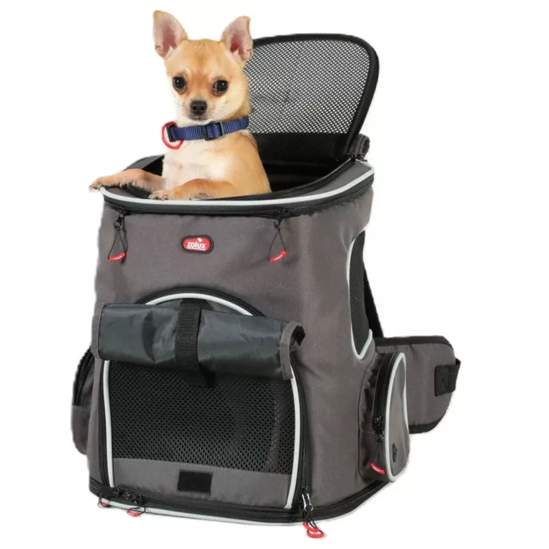 ZOLUX Nomad Mochila transportín para perros y gatos con compartimento para portátil - 33x29x40 cm, Gris antracita
