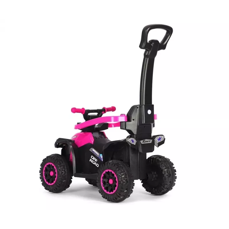 MILLY MALLY Bicicleta infantil con barra de empuje Wild Pink 12