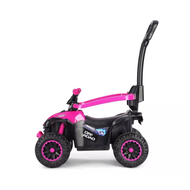 MILLY MALLY Bicicleta infantil con barra de empuje Wild Pink 12