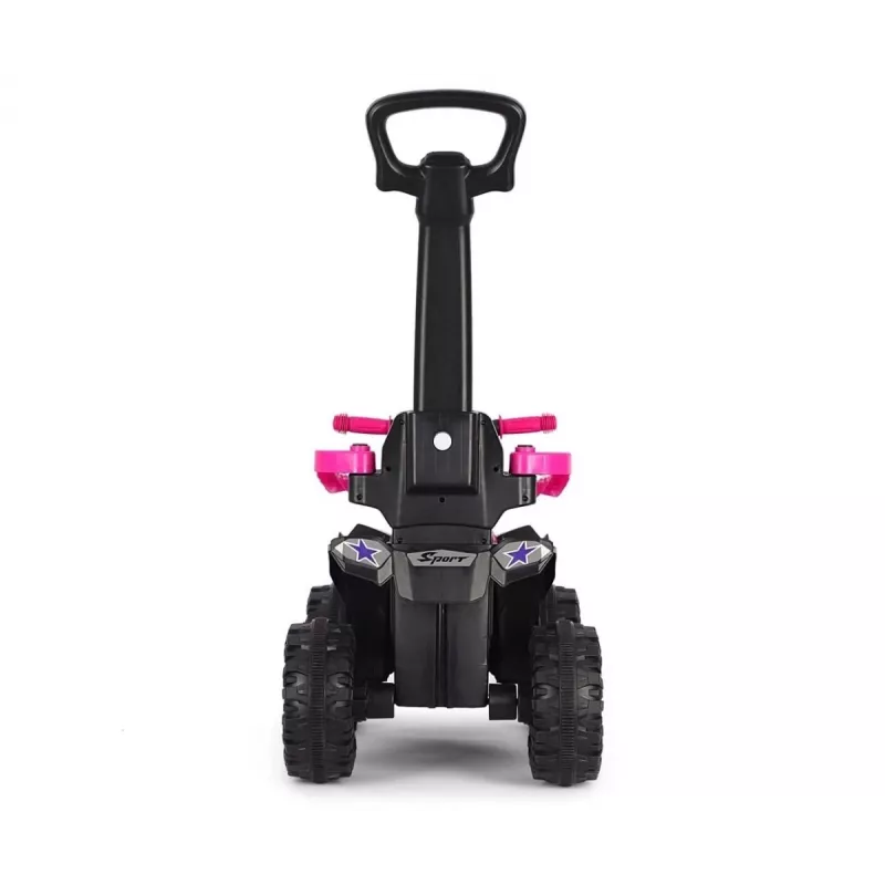 MILLY MALLY Bicicleta infantil con barra de empuje Wild Pink 12