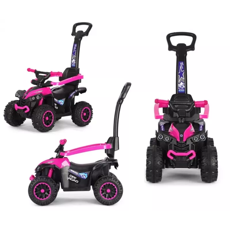 MILLY MALLY Bicicleta infantil con barra de empuje Wild Pink 12