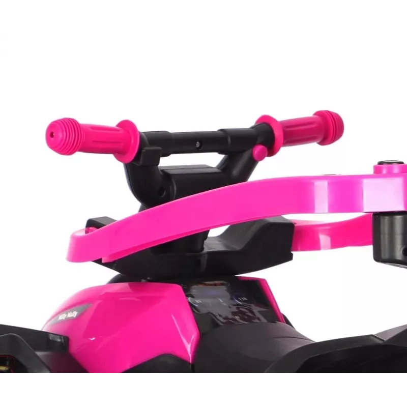 MILLY MALLY Bicicleta infantil con barra de empuje Wild Pink 12